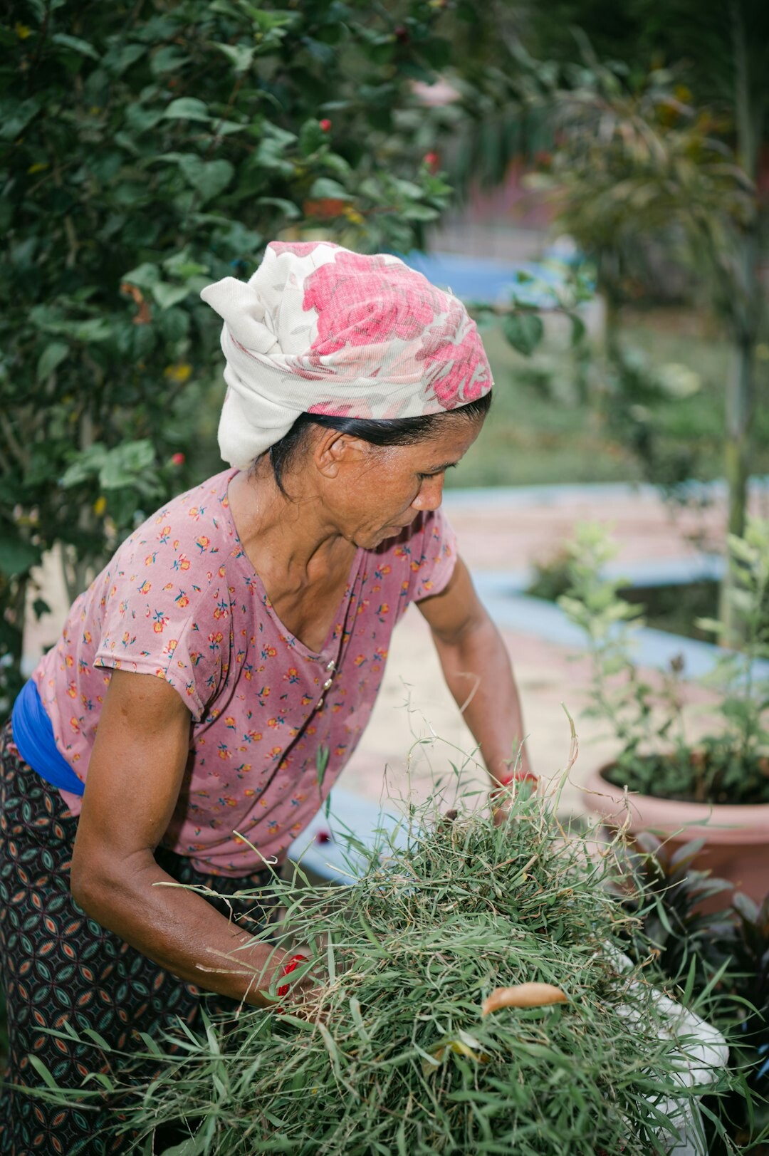 seniors gardening together